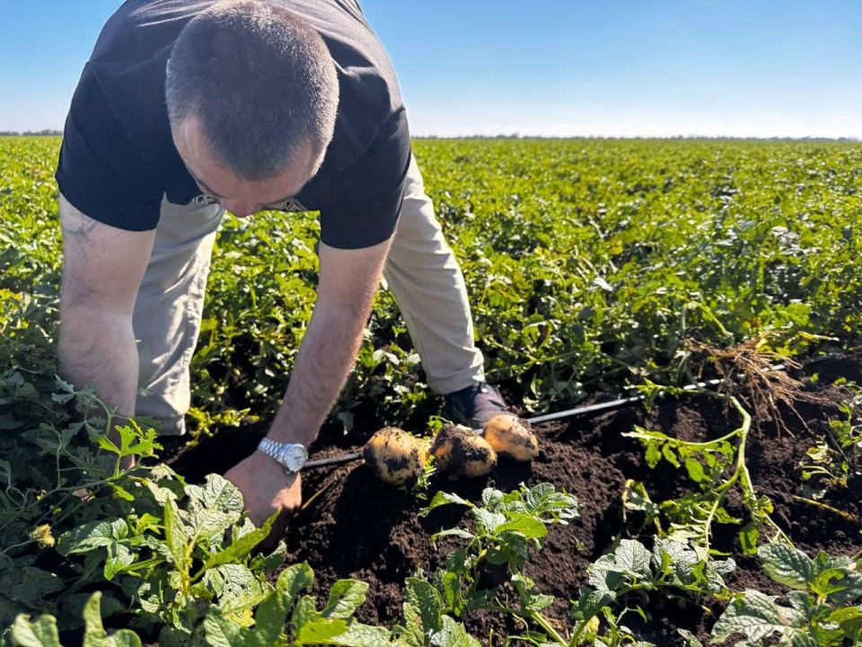 Уважаемые труженики агропромышленного комплекса Крыма! Дорогие ветераны отрасли!