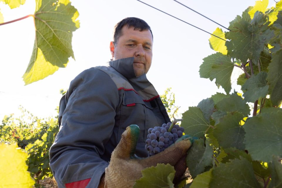 Сергей Аксёнов: Сегодня свой профессиональный праздник отмечают работники одной из ключевых отраслей, от которой напрямую зависит и продовольственная безопасность, и положение дел в экономике, и качество жизни людей Сергей Аксёнов: Сегодня свой профессиональный праздник отмечают работники одной из ключевых отраслей, от которой напрямую зависит и продовольственная безопасность, и положение дел в экономике, и качество жизни людей