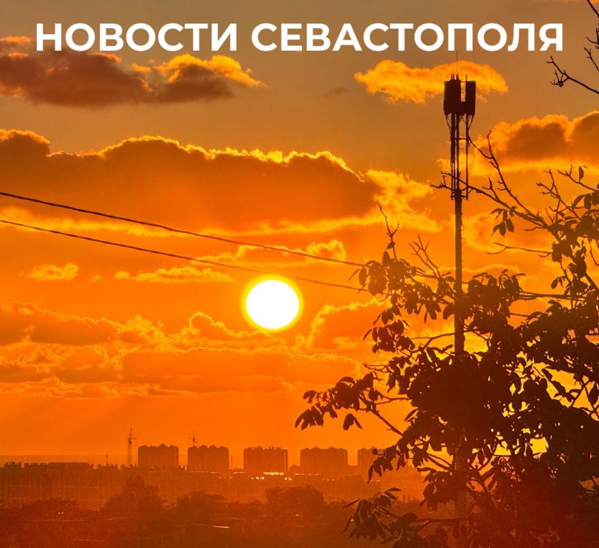 Михаил Развожаев: Итоги прошедших выходных:. Массового загрязнения береговой линии в Севастополе нет