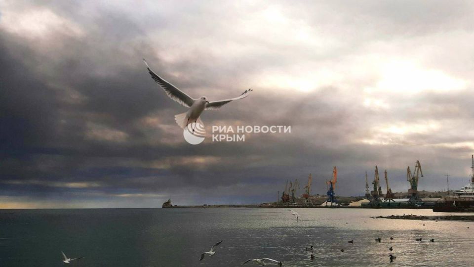 Обстановка в Феодосии сейчас – на кадрах РИА Новости Крым