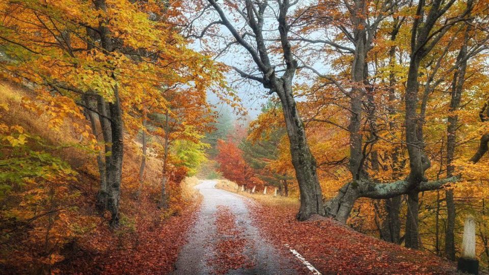 Крымский природный заповедник осенью