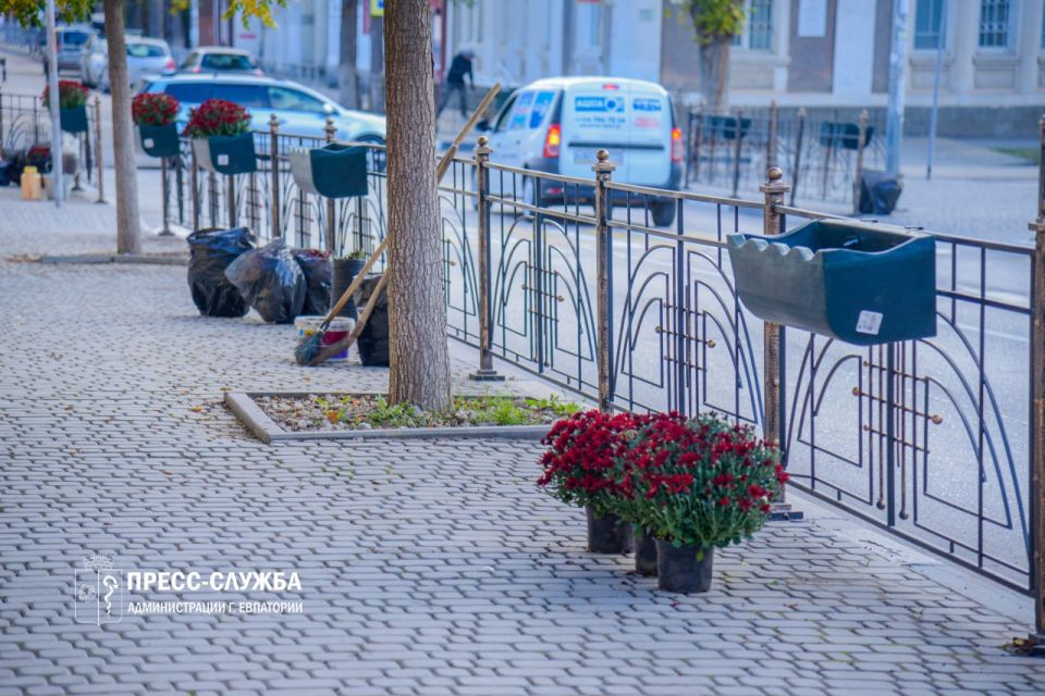 Центр Евпатории украсят хризантемы Центр Евпатории украсят хризантемы