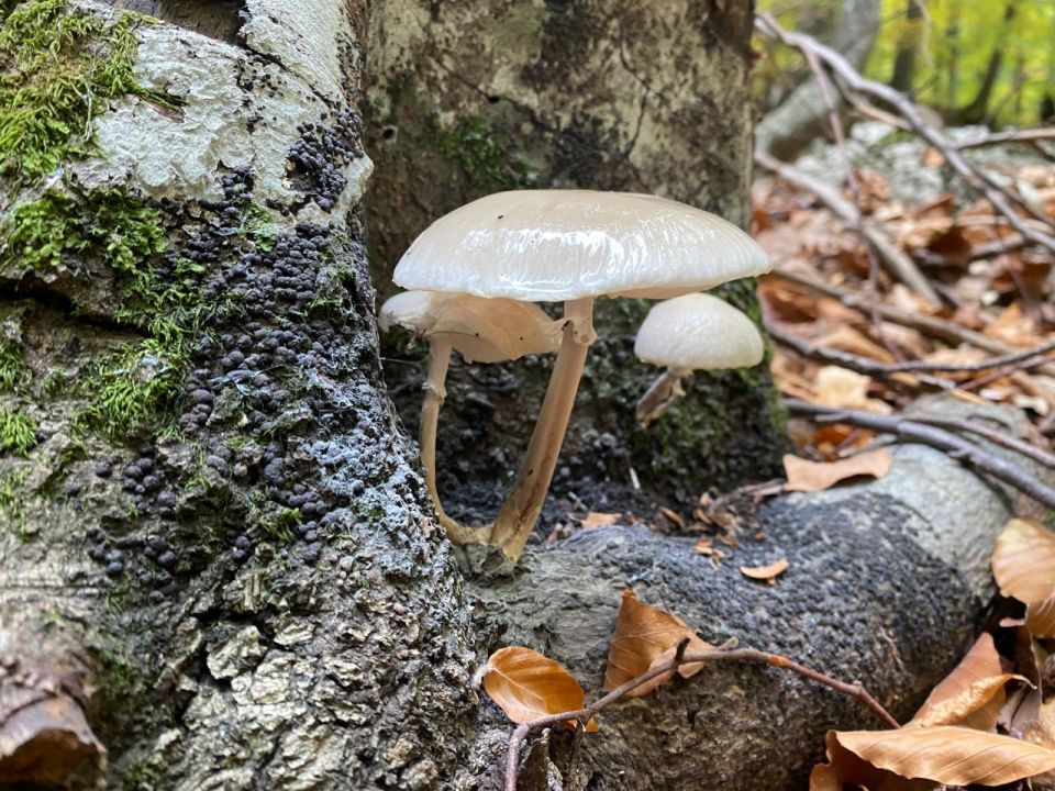 Прогноз погоды в Крыму на 17 октября