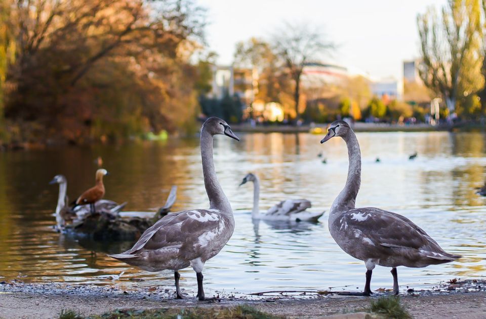 Доброе утро!. #Симферополь