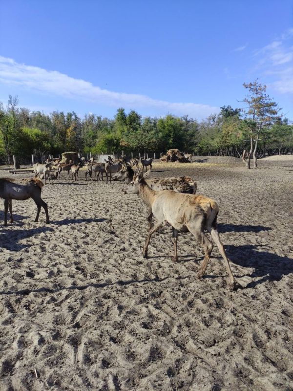 Сотрудники Минприроды Крыма приняли участие в семинаре-совещании «Повышение эффективности ведения охотничьего хозяйства в современных условиях» Сотрудники Минприроды Крыма приняли участие в семинаре-совещании «Повышение эффективности ведения охотничьего хозяйства в современных условиях»
