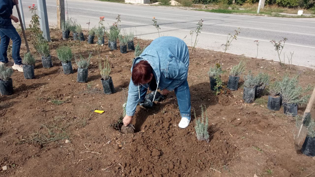 Более 200 цветущих многолетников украсили въезд в Насыпное Более 200 цветущих многолетников украсили въезд в Насыпное