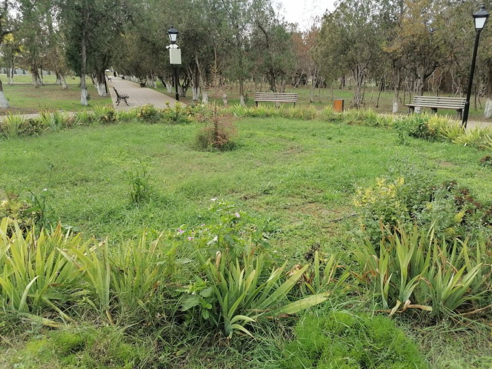 Светлана Маслова: Следующая остановка в поселке Новоселовское Светлана Маслова: Следующая остановка в поселке Новоселовское