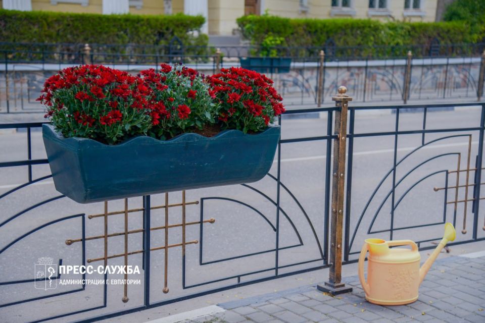 Центр Евпатории украсят хризантемы Центр Евпатории украсят хризантемы