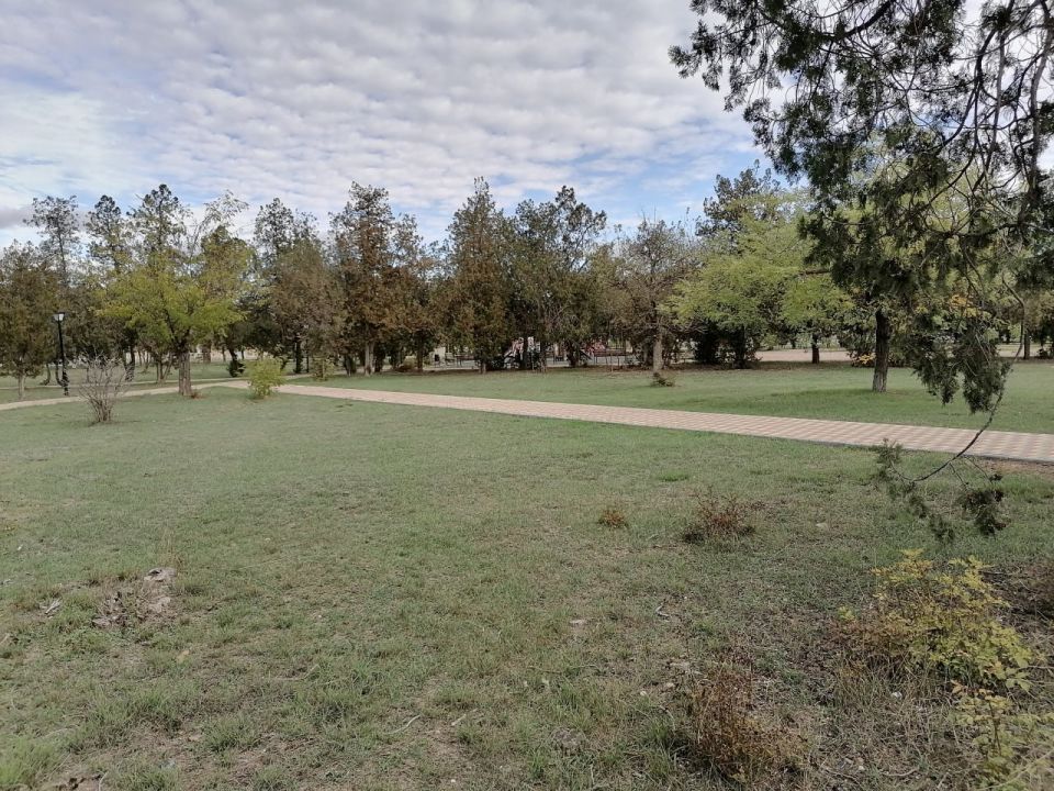 Светлана Маслова: Следующая остановка в поселке Новоселовское Светлана Маслова: Следующая остановка в поселке Новоселовское