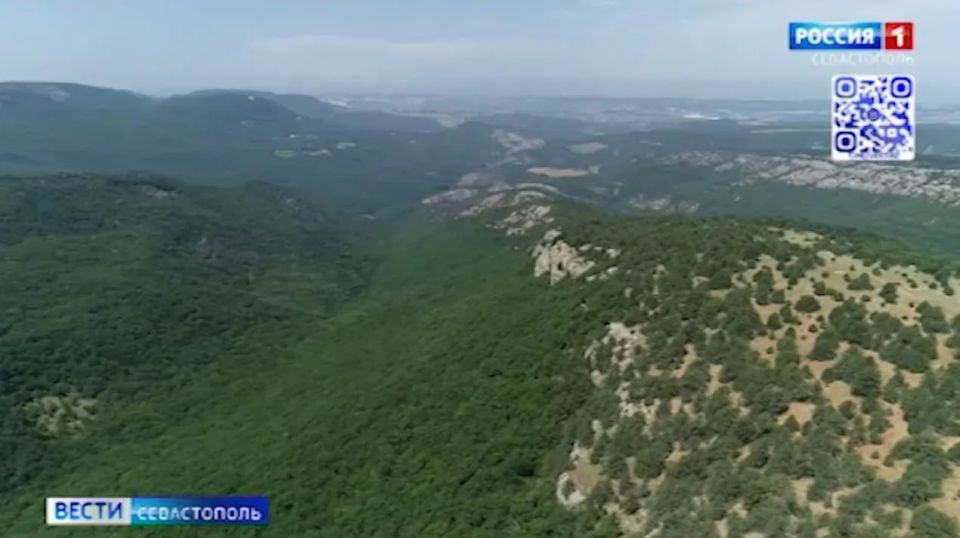 Новый заповедник появится на Южном берегу Крыма