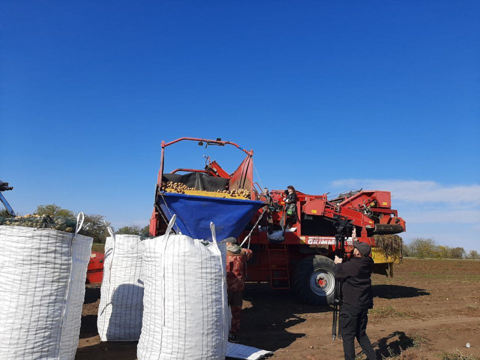 В Республике Крым началась масштабная механизированная уборка овощей открытого грунта, так называемого «борщевого набора» — свеклы, моркови, капусты и лука