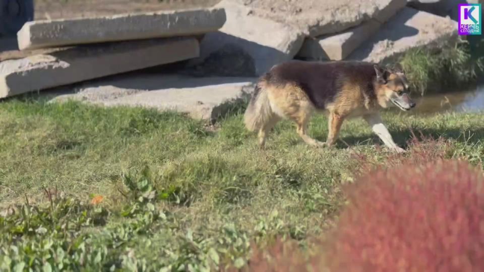 На ул. Полевой восстанавливают ливнесток