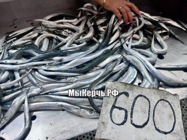          600   