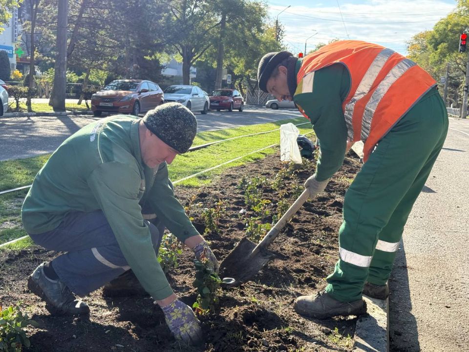 Александр Юрьев: Улица Фрунзе продолжает преображаться