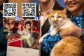 Кот Мостик: В Новый год вместе со мной