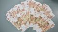 В Симферополе за 150 тысяч рублей продают древнего морского ежа