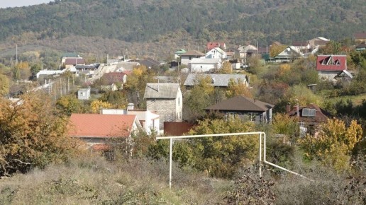 В Крыму более 500 человек лишились земли в СНТ – Бастрыкин требует доклад