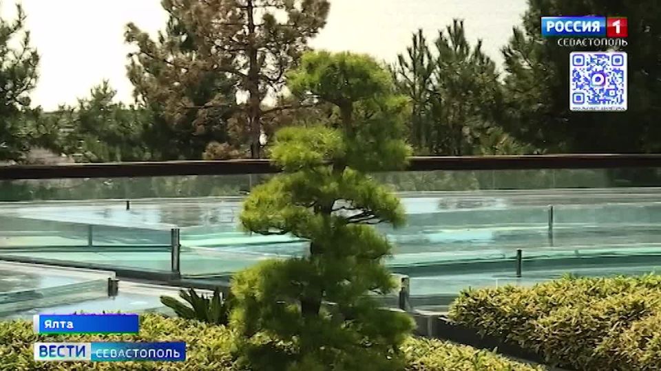 Курс на долголетие и здоровье здоровых