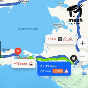 Буся, которую хозяева потеряли в сентябре на Крымском мосту, прошла почти 200 км и нашлась в Краснодаре