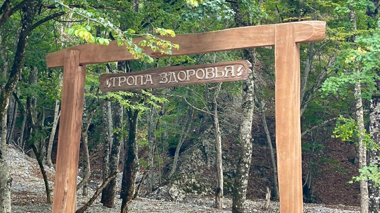 1,3 км здоровья: в Нацпарке «Крымский» можно погулять по тропе из шишек, сена и морской гальки 1,3 км здоровья: в Нацпарке «Крымский» можно погулять по тропе из шишек, сена и морской гальки