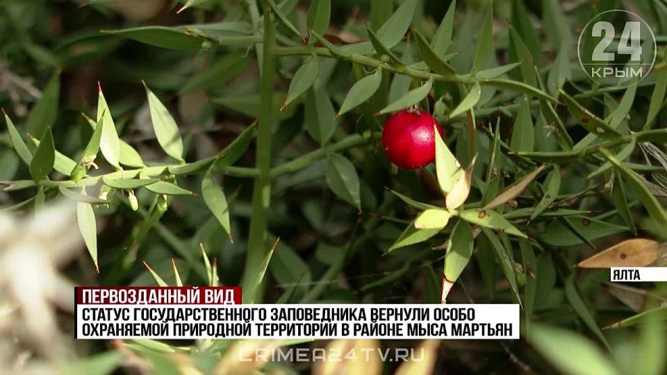 Природное достояние России: территория с эталонным средиземноморским ландшафтом Крыма стала государственным заповедником