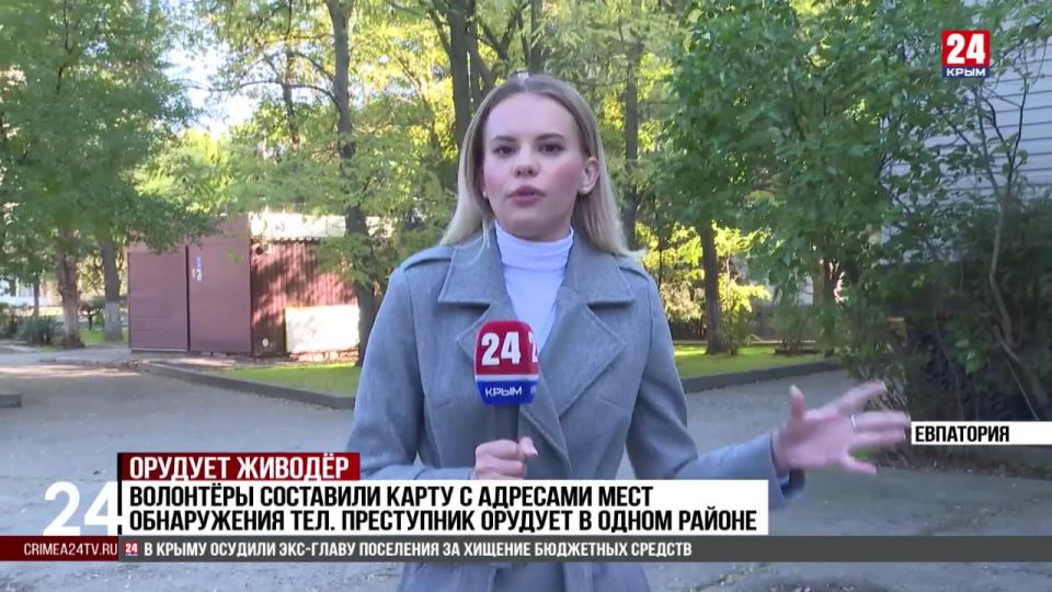 Несколько изуродованных трупов животных обнаружили в Евпатории за два месяца