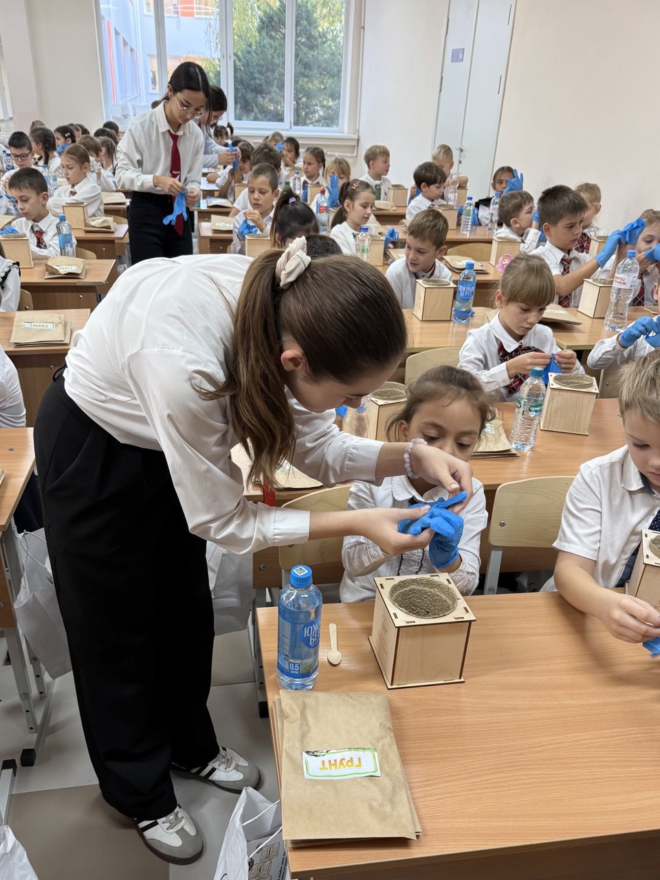 Около 160 симферопольских первоклассников присоединились к акции «Вырасти своё дерево» Около 160 симферопольских первоклассников присоединились к акции «Вырасти своё дерево»
