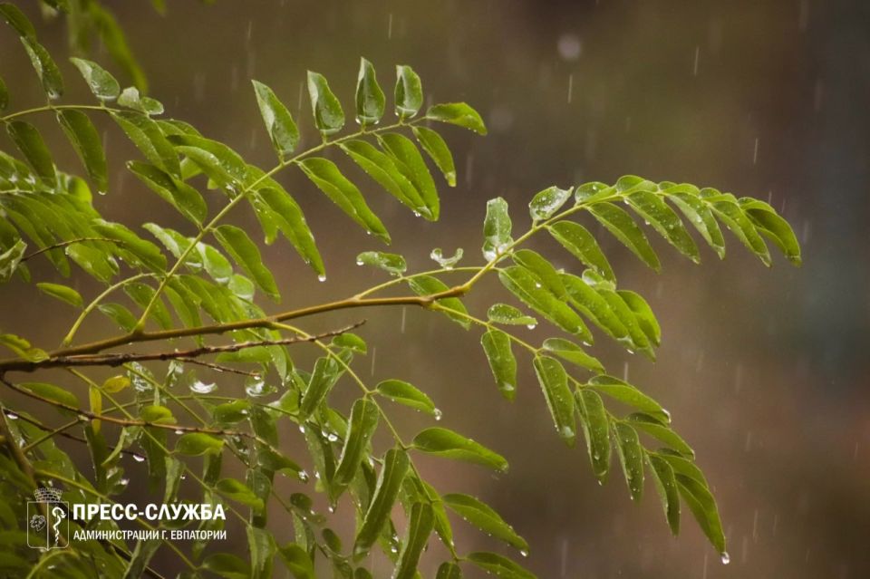 Последние выходные октября будут дождливыми