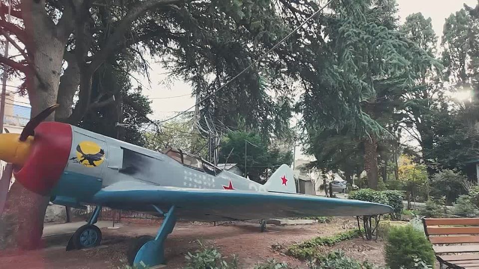 «Знаете ли вы, что такое таран? Это наивысшая форма самопожертвования летчика… В девяноста случаях из ста это неминуемая гибель…»