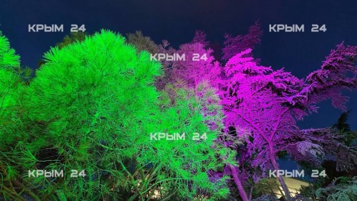 Южная столица Крыма в лучах софитов