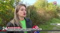 Волонтеры из Севастополя вывозят собак и котов из зоны СВО