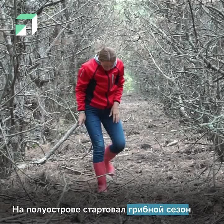 Что по настроению?. Если не очень – поможет наш дайджест