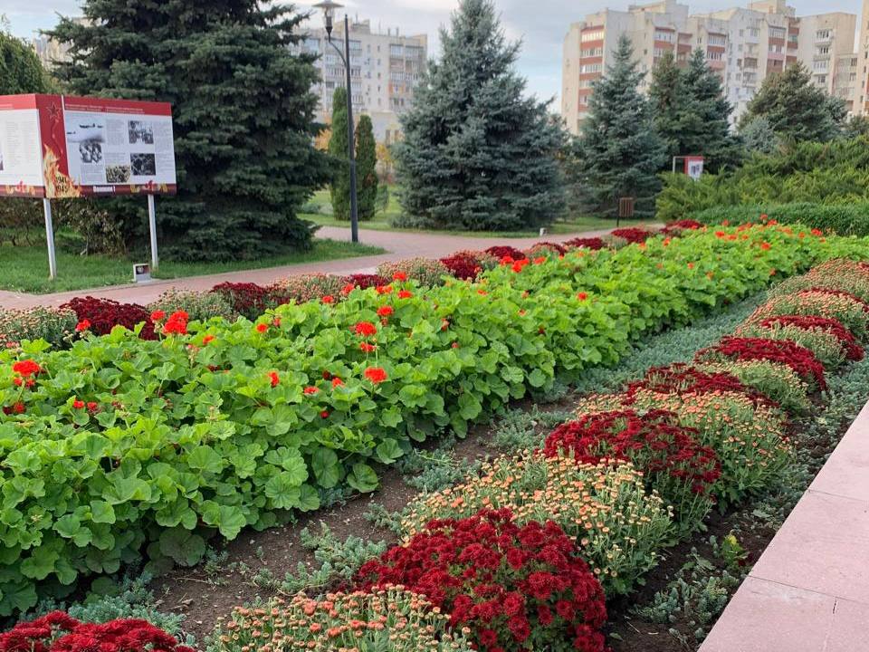 На мемориале «Красная горка» в Евпатории высаживают хризантемы На мемориале «Красная горка» в Евпатории высаживают хризантемы