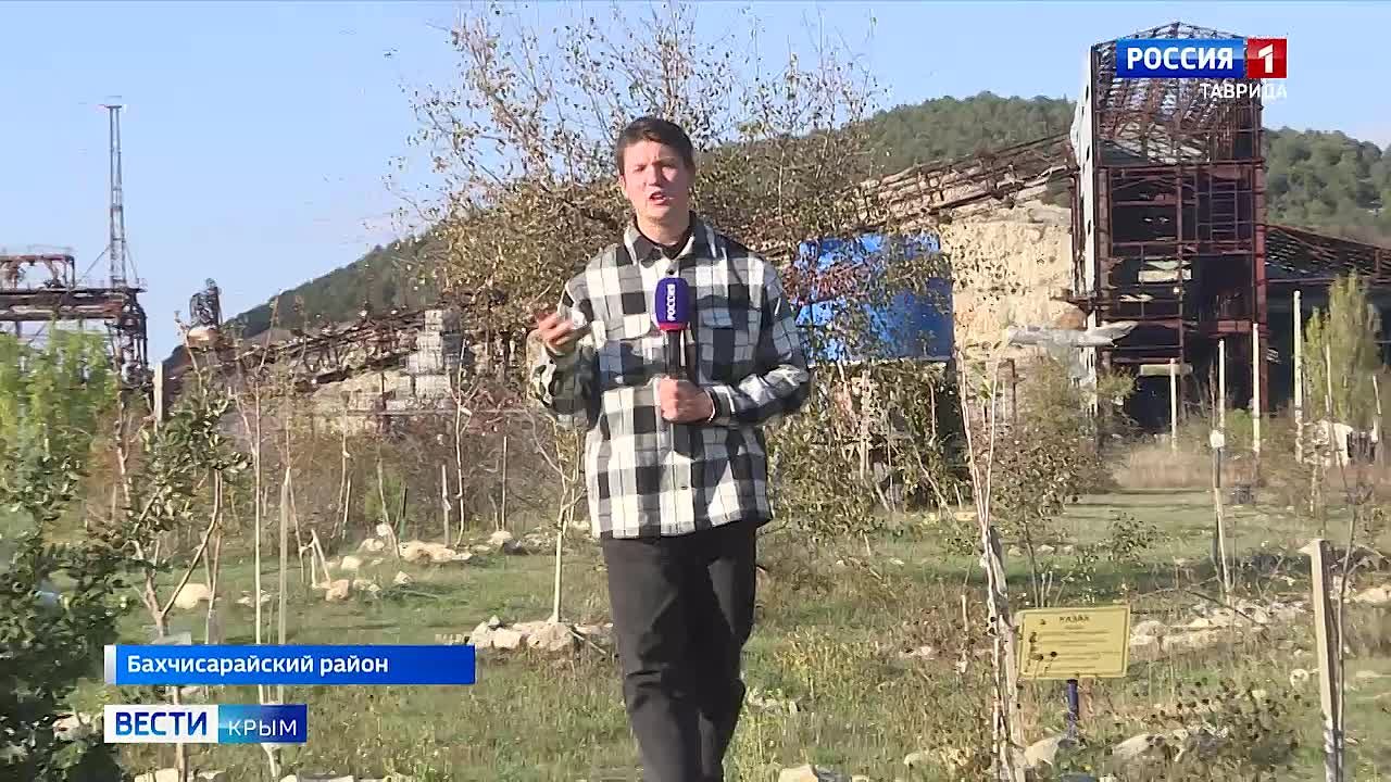 Сегодня в России — День автомобилиста