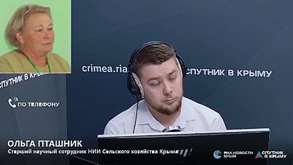 "Универсальная и устойчивая": почему Крыму нужна чина посевная?