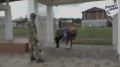 В проекте «Песня на войне» — новинка от Дмитрия Шамина
