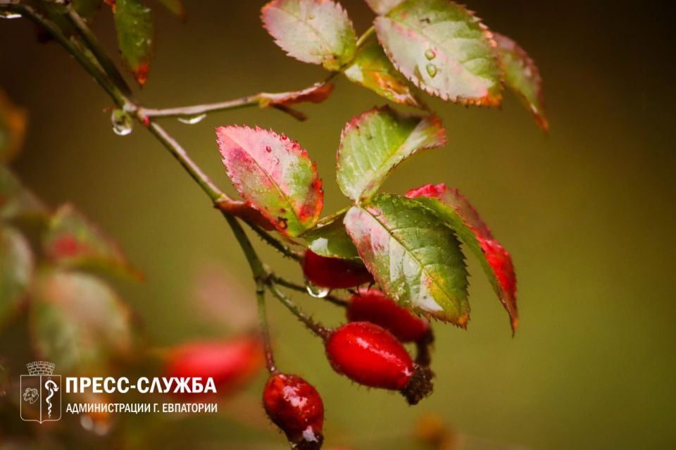 Со среды в Крыму установится сухая теплая погода