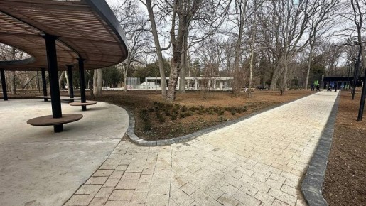 Лебединое озеро снова появится в Сакском курортном парке
