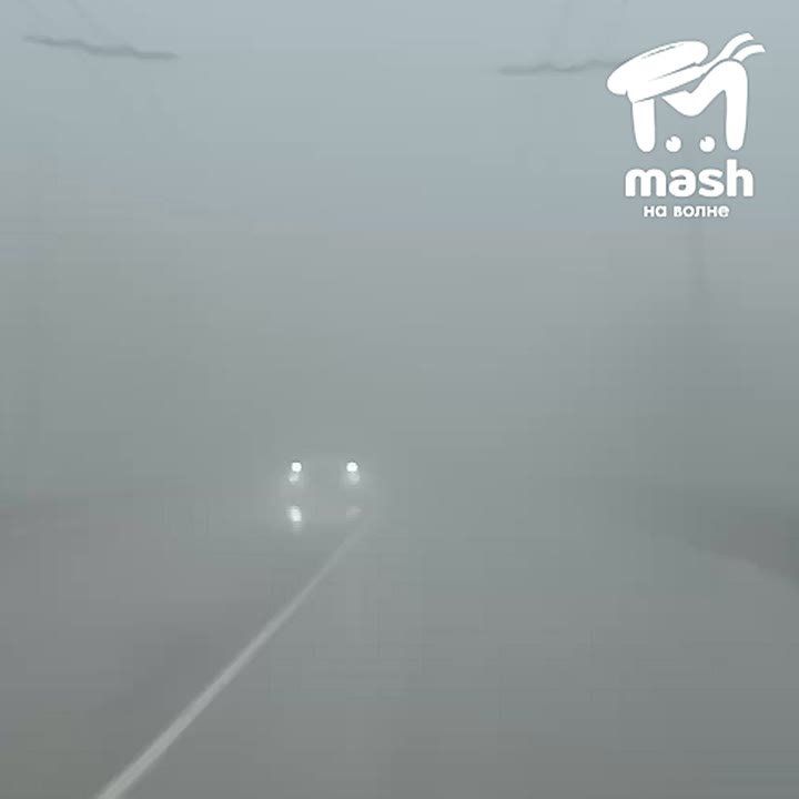 Лошадку никто не терял? Как раз над Ангарским перевалом в Алуште туман сгустился, самое то для поисков