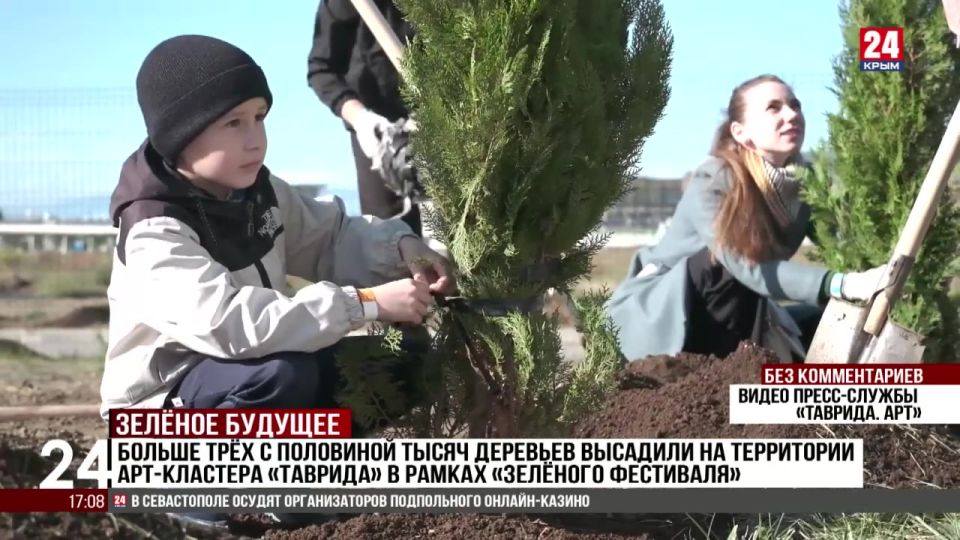 Более трёх с половиной тысяч деревьев высадили на территории арт-кластера «Таврида» в рамках «Зелёного фестиваля»