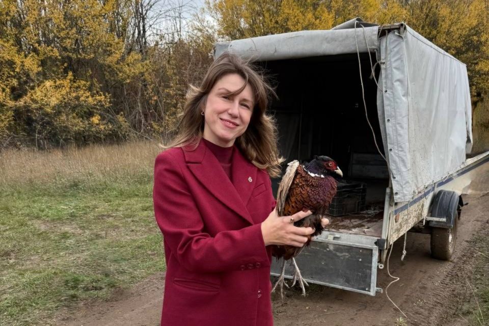 Ольга Шевцова приняла участие в ежегодном расселении фазана в Симферопольском районе