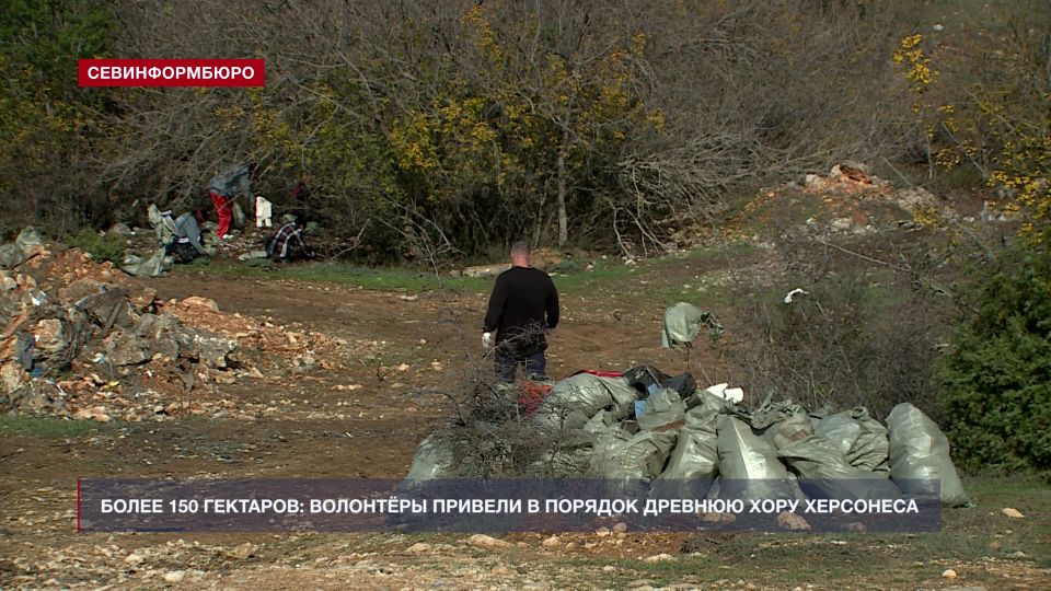 Более 30 человек приняли участие в масштабном субботнике на древней хоре Херсонеса