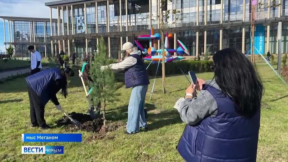 «Зеленый фестиваль» в Судаке объединил рекордные 14 тысяч участников со всей России
