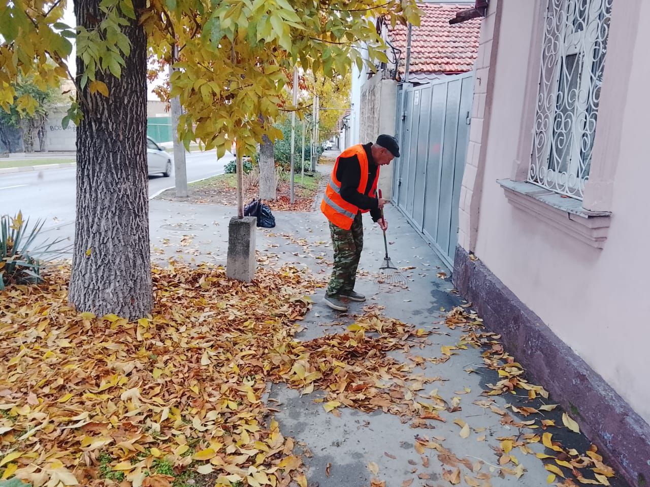 Осень все активнее вступает в свои права, а это значит, что основным работам по содержанию городских территорий у работников МБУ "Городское благоустройство" прибавилась уборка опавшей листвы Осень все активнее вступает в свои права, а это значит, что основным работам по содержанию городских территорий у работников МБУ "Городское благоустройство" прибавилась уборка опавшей листвы