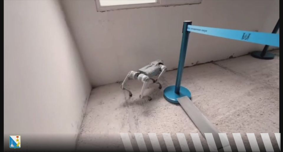 В рамках фестиваля ITPARK FEST 2025 прошел финал «Битвы дронов»