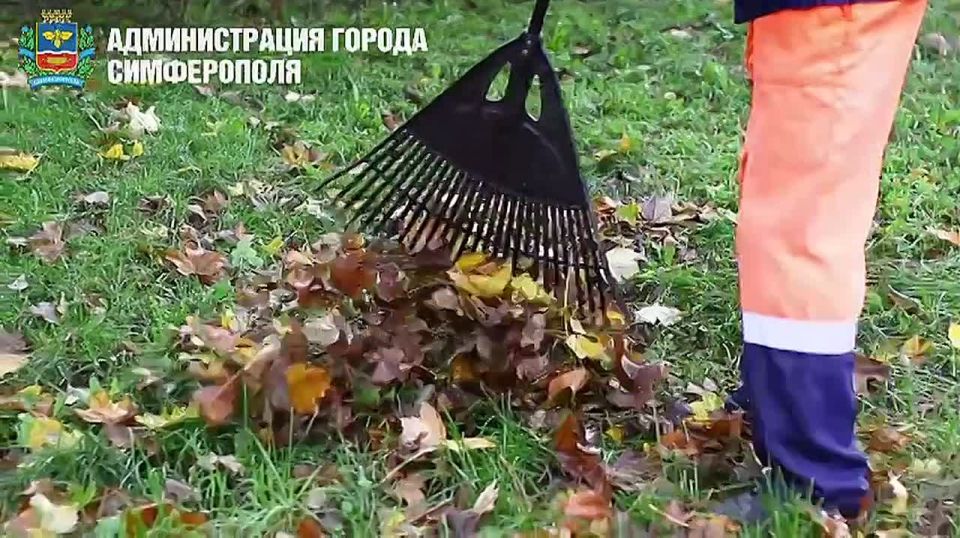 Михаил Афанасьев: Уборка города — одна из приоритетных задач