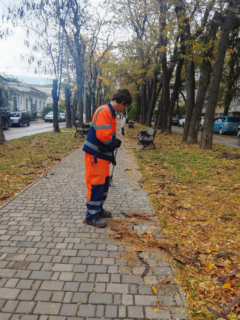 Осень все активнее вступает в свои права, а это значит, что основным работам по содержанию городских территорий у работников МБУ "Городское благоустройство" прибавилась уборка опавшей листвы Осень все активнее вступает в свои права, а это значит, что основным работам по содержанию городских территорий у работников МБУ "Городское благоустройство" прибавилась уборка опавшей листвы