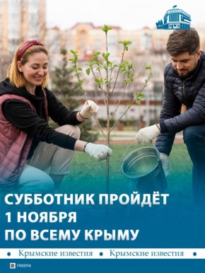 Всекрымский субботник состоится 1 ноября по инициативе Владимира Константинова