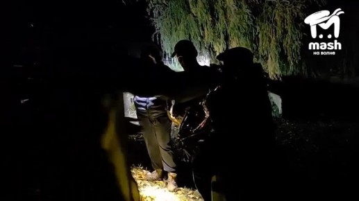 Дедушка-грибник из Нижнегорского района сутки ходил босиком по лесу и едва не утонул в болоте