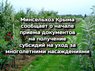 Друзья, фермеры, сельхозпроизводители! Министерство сельского хозяйства Крыма объявляет о начале приёма заявок на государственную поддержку